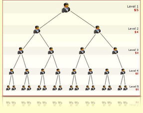 商務(wù)服務(wù)的綜合平臺 軟件開發(fā)與供應(yīng)鏈批發(fā)